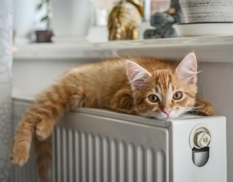 radiateur tarn